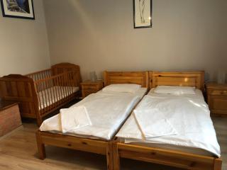 Tisza-Kert Vendégház -Tisza-Kert Vendégház II - 2