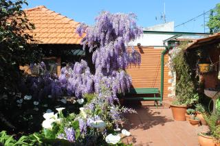 Casa Da Avó - Vale da Silva Villas - 5