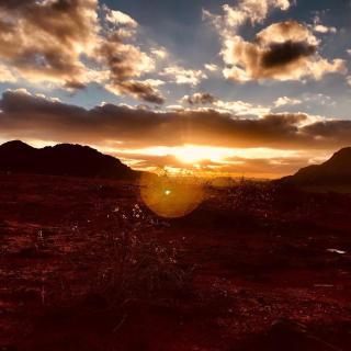 Wadi Rum Excursions - 8