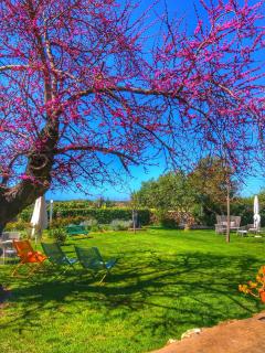 Tenuta Duca Marigliano Boutique Hotel - Paestum - 7