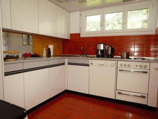 Apartment Piz Mundaun - Sagogn - 3