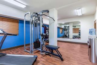 Comfort Inn & Suites - McComb - 4
