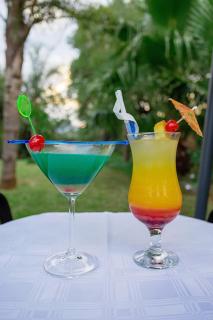 Three Oaks and an Aloe Boutique Hotel - Hartbeespoort - 2