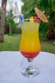 Three Oaks and an Aloe Boutique Hotel - Hartbeespoort - 4