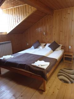 Cabana Sarmis Costesti - Costeşti - 2