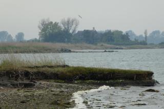 Ferienhaus-Lachmoewe - Kappeln - 1