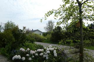 Ferienhaus-Lachmoewe - Kappeln - 2