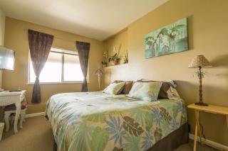 Aloha Alaska Vacation Rentals - Homer - 2