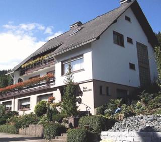 Haus Hubertus - Winterberg - 9