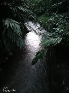 Alencherry plantation homestay - Thekkady - 9