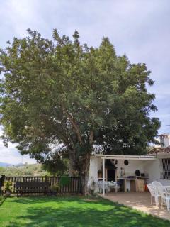 Casa Molina - Alcaucín - 1