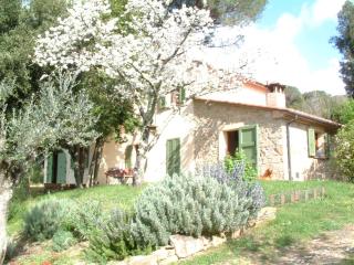 Casa Jacaranda - Monteverdi Marittimo - 0