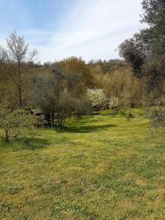 Rifugio di campagna - Vitorchiano - 4