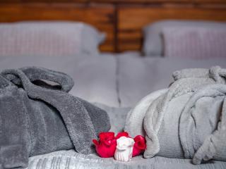 Penzion Na barokní cestě Wellness & Spa - Plasy - 4