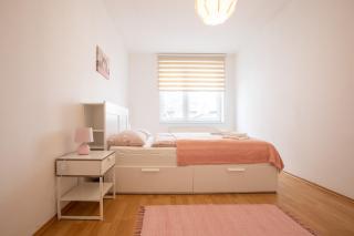 Spacious Apartment in the Old Town of Bratislava - Bratislava - 2