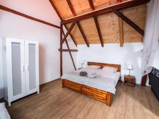Penzion Na barokní cestě Wellness & Spa - Plasy - 1