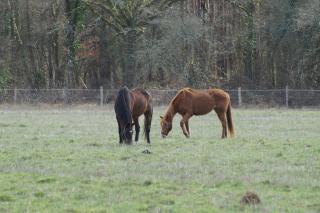 Afbeelding van de locatie