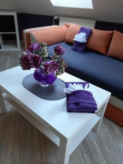 Útulný apartmán - Veselí nad Moravou - 4