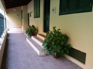 Ribeira Grande Country House - Escabeçada - 4