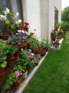 Guest house Emmy - Trigrad - 6