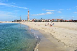 Bright Pointe 2-Bedroom Apartment - Praia da Barra - Praia da Barra - 0