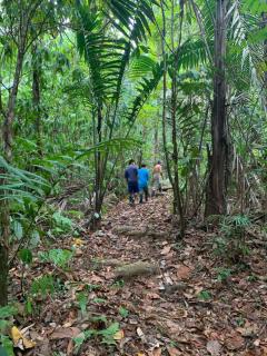 Paraisoverde-Corcovado Over Night - Drake - 5