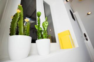 GET a cactus and books studio - Porto - 3