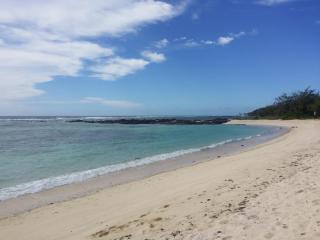 Golden Rod villa - Belle Mare - 4