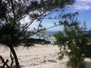 Golden Rod villa - Belle Mare - 8