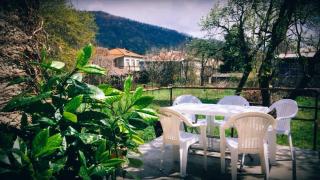 Green House - 6