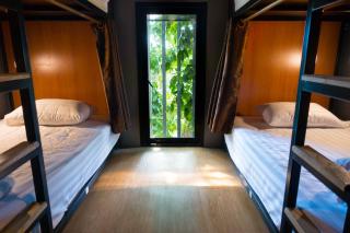 Comfy Bed Hostel - 8