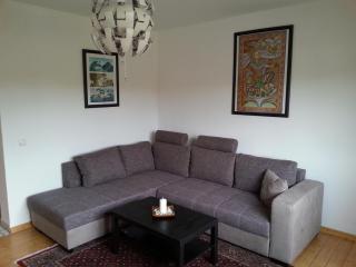Citynahe Wohnung Festung Ehrenbreitstein 65m² mit großem Garten - Coblenza - 5