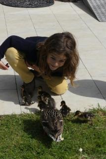 Chambres et Table d'Hôtes Les Machetières - 2