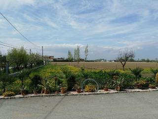 LA CARLOTTINA - Codevigo - 9