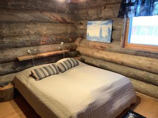 Casa Levi Luxury Chalet - Levi - 1