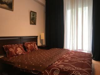 Floreasca Ambient by ACME RENT - Bucarest - 2
