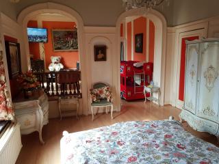 Château Lambert Moulinsart Hotel, shuttle airport, long term parking, snooker, large terrasse, dinner, breakfast - Charleroi - 3