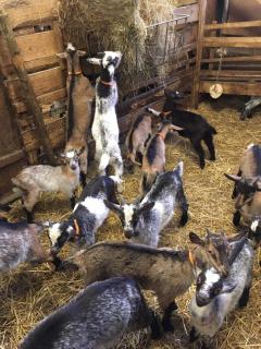 Chambres IM-BERG - 3