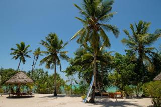 Tikitam Palms Boutique Hotel - Pongwe - 3