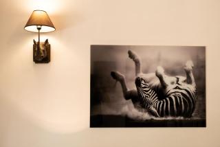 Tikitam Palms Boutique Hotel - Pongwe - 4
