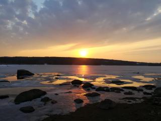 Insel Korsnäsudden - Hagfors - 1