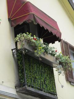 La casetta nel cortile - Torino - 4