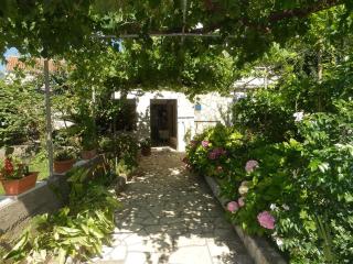 Apartments by the sea Sucuraj, Hvar - 16404 - 5