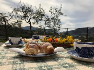 Villa Teca & Succo - Nature e Relax - Sestri Levante - 6