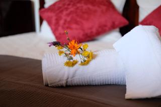 Villa Teca & Succo - Nature e Relax - Sestri Levante - 1