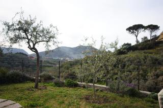 Villa Teca & Succo - Nature e Relax - Sestri Levante - 5