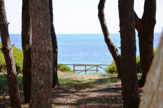 Bed & Relax - Castellabate - 4