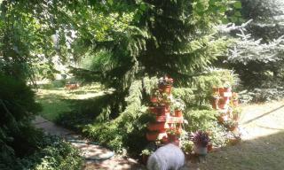 Sobe Dijana - Subotica - 4