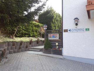 Ferien- und Aktivhotel Zum Arber - Bodenmais - 4
