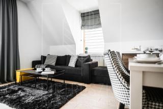 APARTAMENT SKANDYNAWSKI**** - Zakopane - 7
